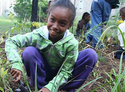 Photo by the Center for Neighborhood Technology, courtesy of the Metropolitan Greenspace Alliance. Photo by the Center for Neighborhood Technology, courtesy of the Metropolitan Greenspace Alliance.