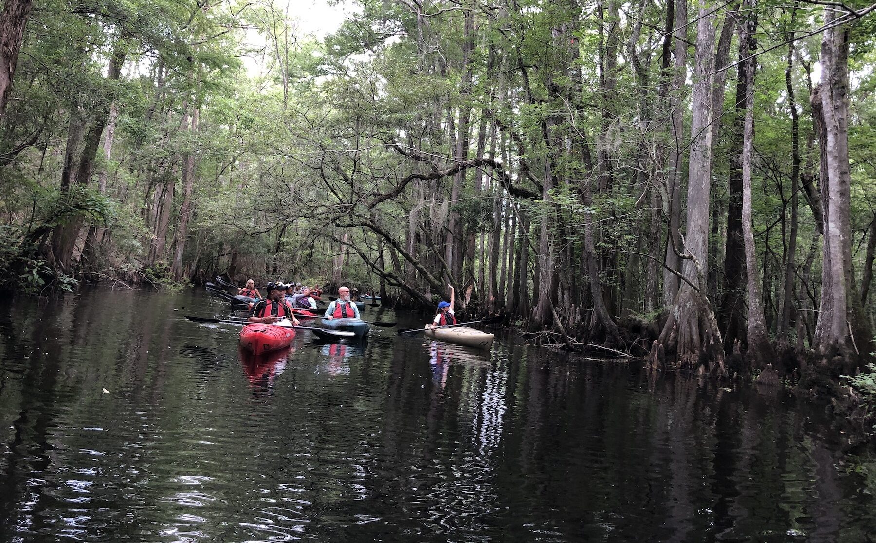 Catalyst Fund Network for Landscape Conservation