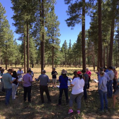 Field tour in Northern Arizona. Photo by Tahnee Robertson, courtesy of the Desert Landscape Conservation Cooperative. 