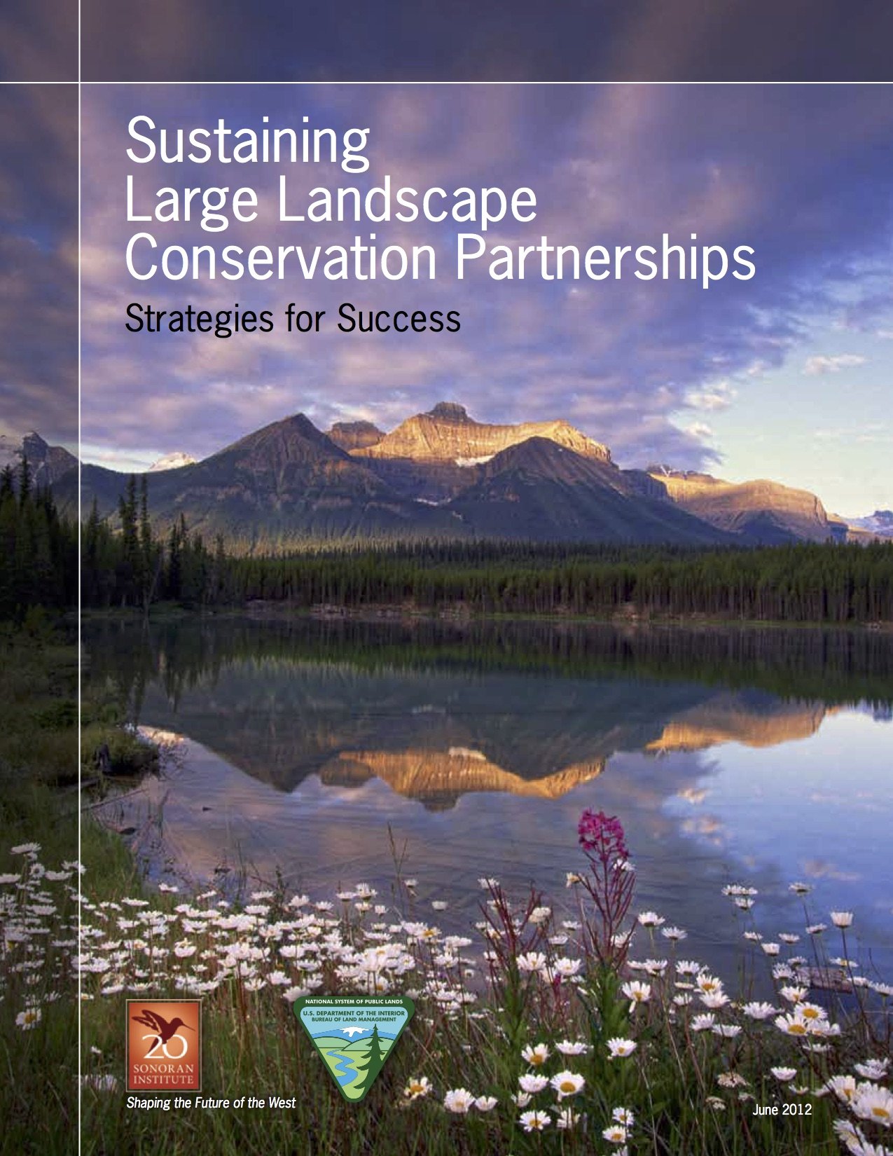 Sustaining Large Landscape Conservation Partnerships Strategies For Success Network For