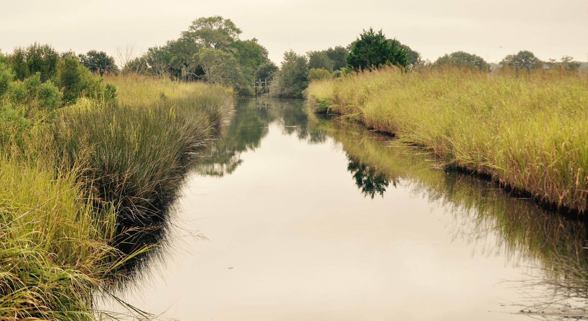 The Gullah Geechee: Reflections on the warp and weft of cultural ...