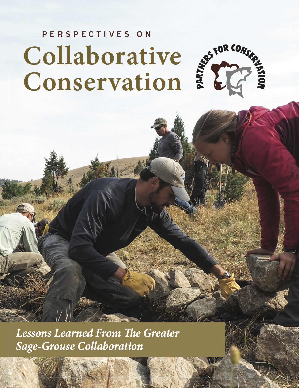 Perspectives on Collaborative Conservation: Lessons Learned from the ...