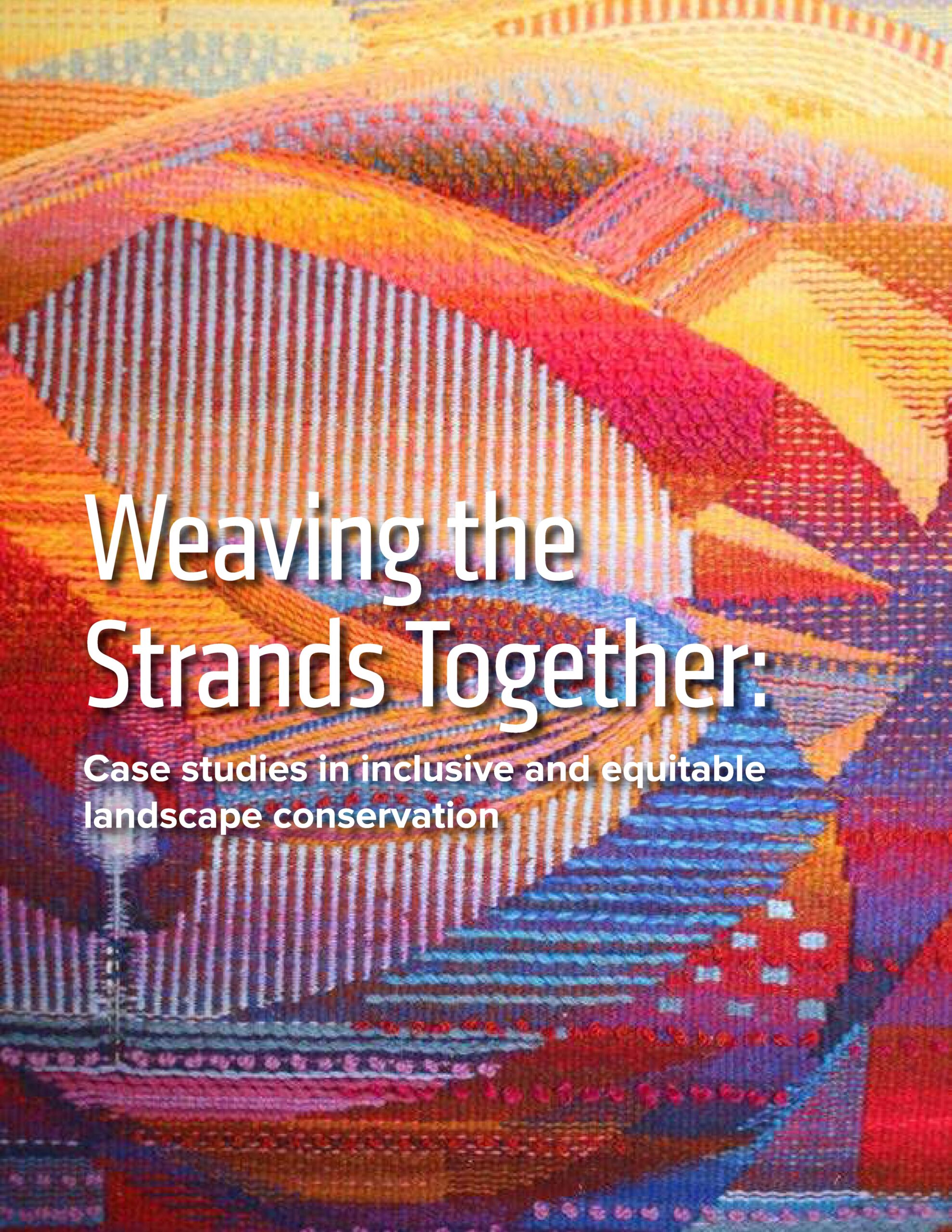 Weaving the Strands Together: Case studies in inclusive and equitable ...